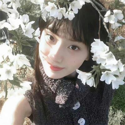成吉思汗的孩子们